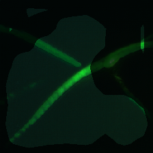 layer0-44