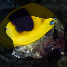 layer0-243