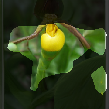 layer0-243