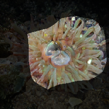 layer0-1005