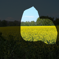 layer0-46