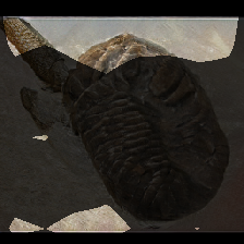 layer0-423