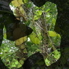layer0-47