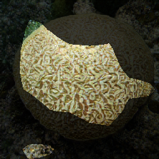 layer0-50