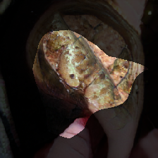 layer0-427