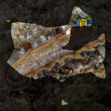 layer0-616