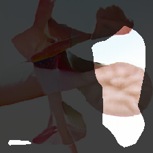 layer0-1219