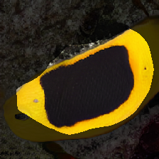 layer0-248