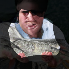 layer0-248
