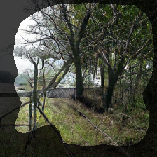 layer1-482