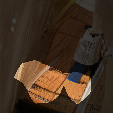 layer0-1009
