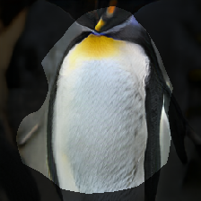 layer0-54
