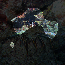 layer0-250