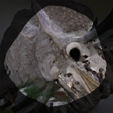 layer0-55