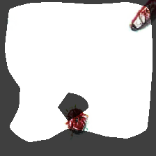 layer0-430