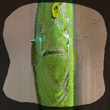 layer0-1011