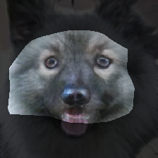 layer0-619