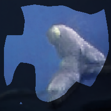 layer0-431