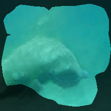 layer0-431