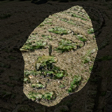 layer0-59