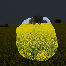 layer0-59