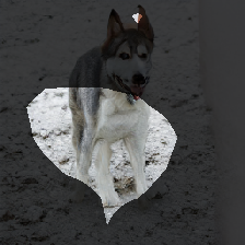 layer0-1014