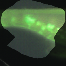 layer0-1225