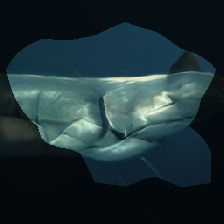 layer0-1225