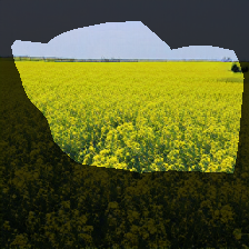 layer0-253