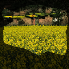 layer0-253