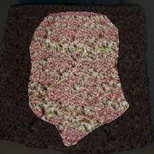 layer0-1016