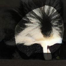layer0-624