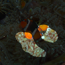 layer0-435