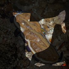 layer0-63