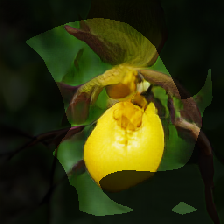 layer0-63