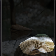 layer0-626