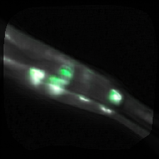layer0-1228