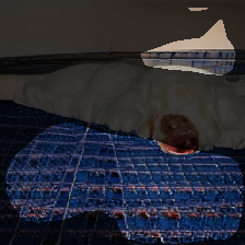layer1-483