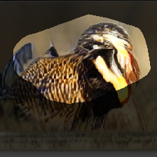 layer0-66