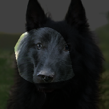layer0-630