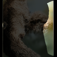 layer0-259