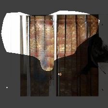 layer0-1230