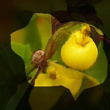 layer0-69