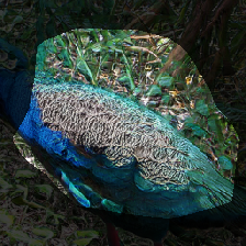 layer0-631