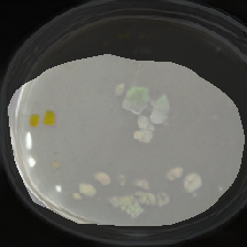 layer0-260