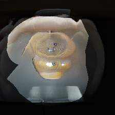 layer0-1231