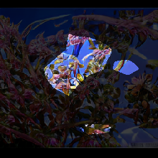 layer0-821