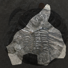 layer0-444