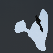 layer0-636