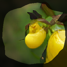 layer0-263